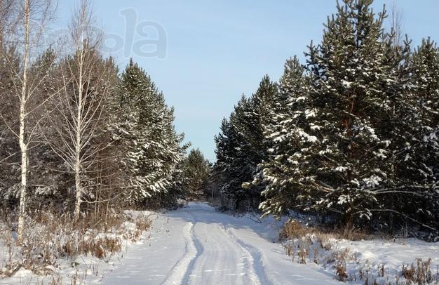 Земельный участок от собственника